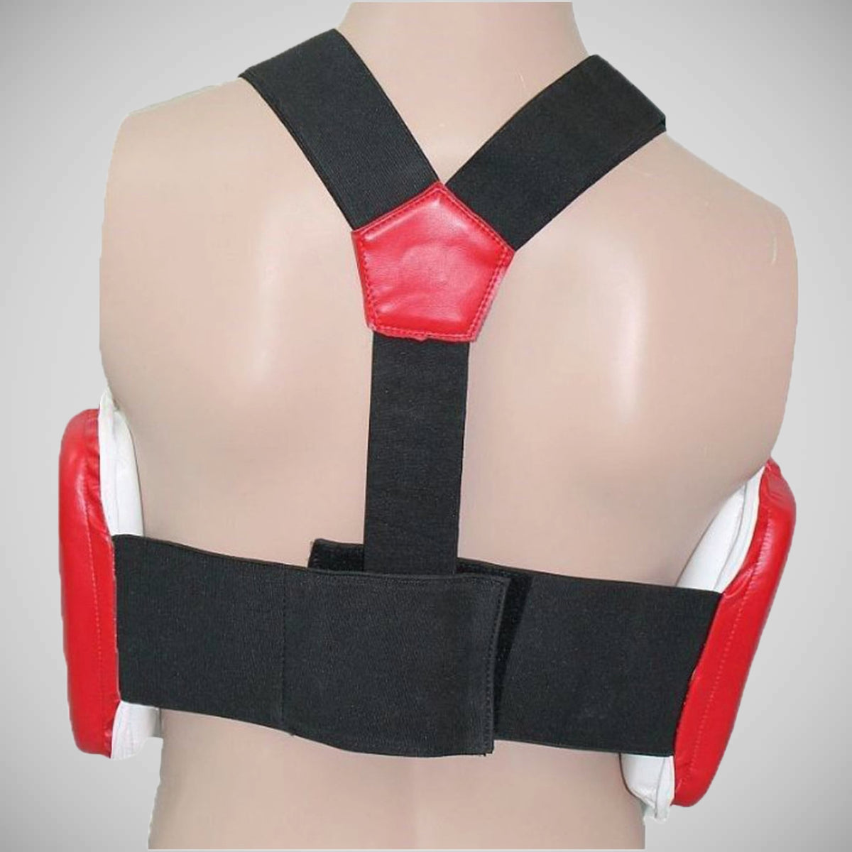 Hayashi Reversible Chest Guard