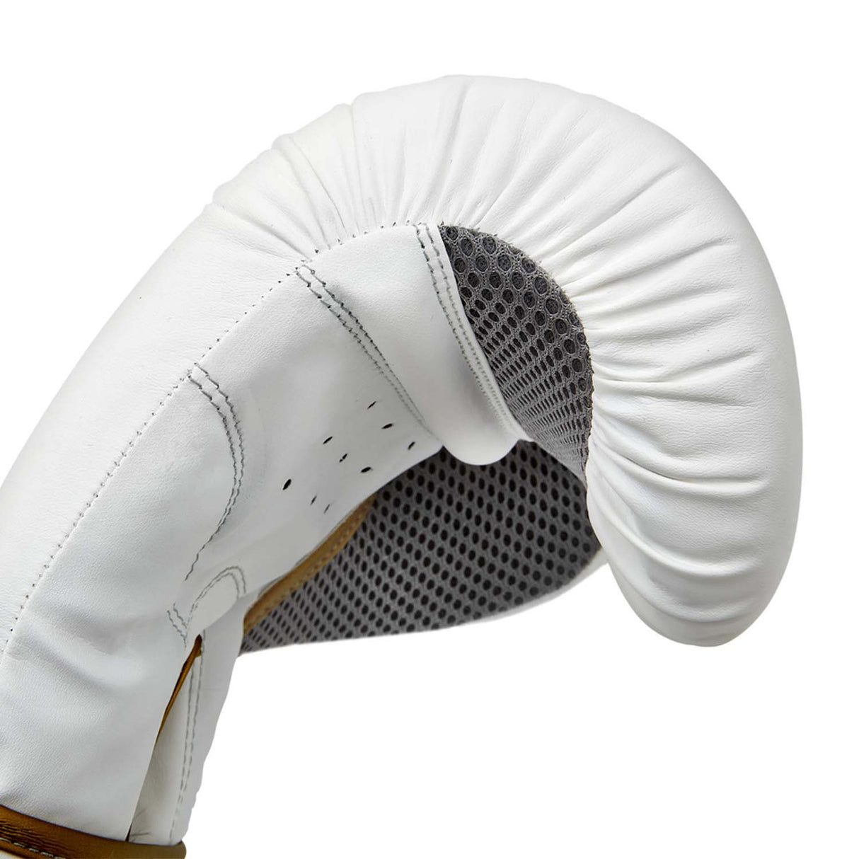 Reebok Boxing Gloves White-Gold