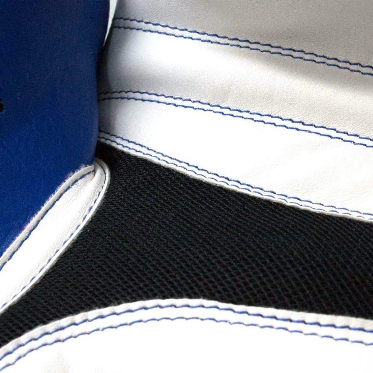 Blue Top Ten Star XLP WAKO Boxing Gloves